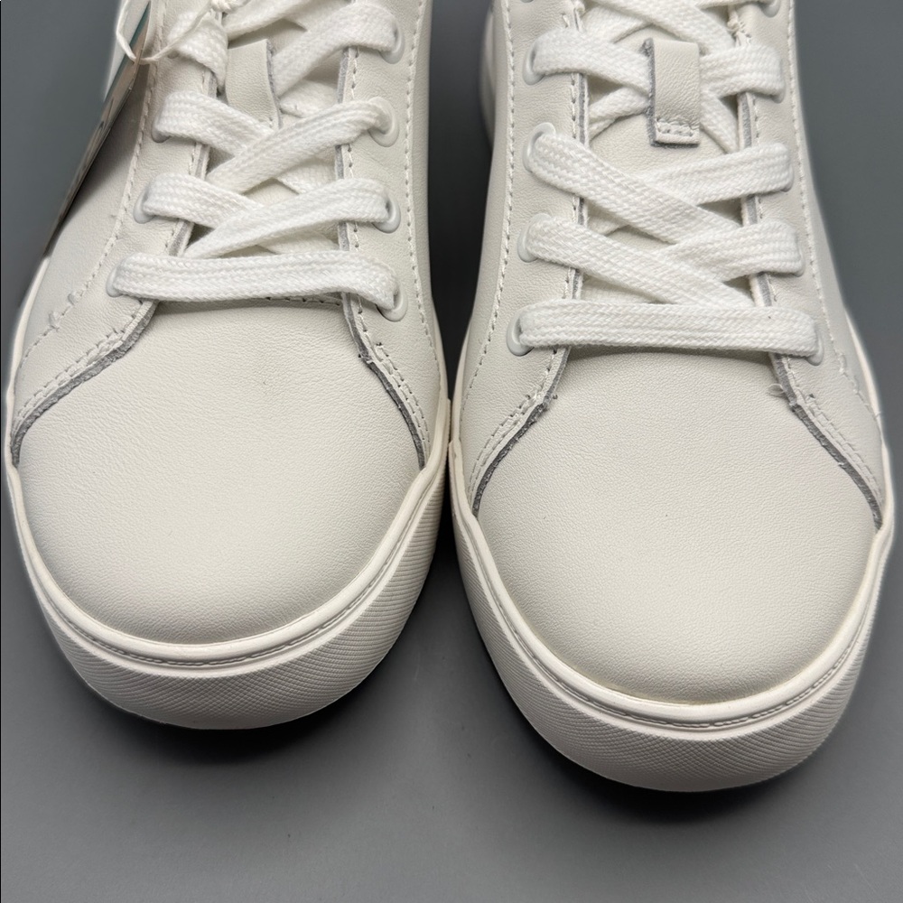 TOMS Kameron Sneakers - Picture 2 of 4